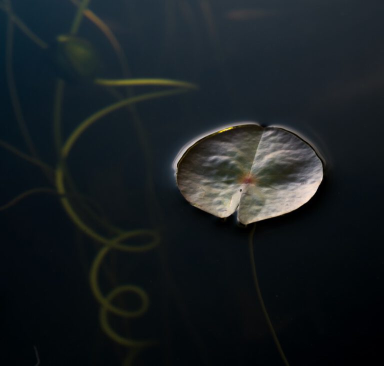 Composition No. 10