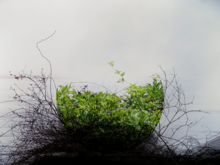 Ascendency of Future Over Past