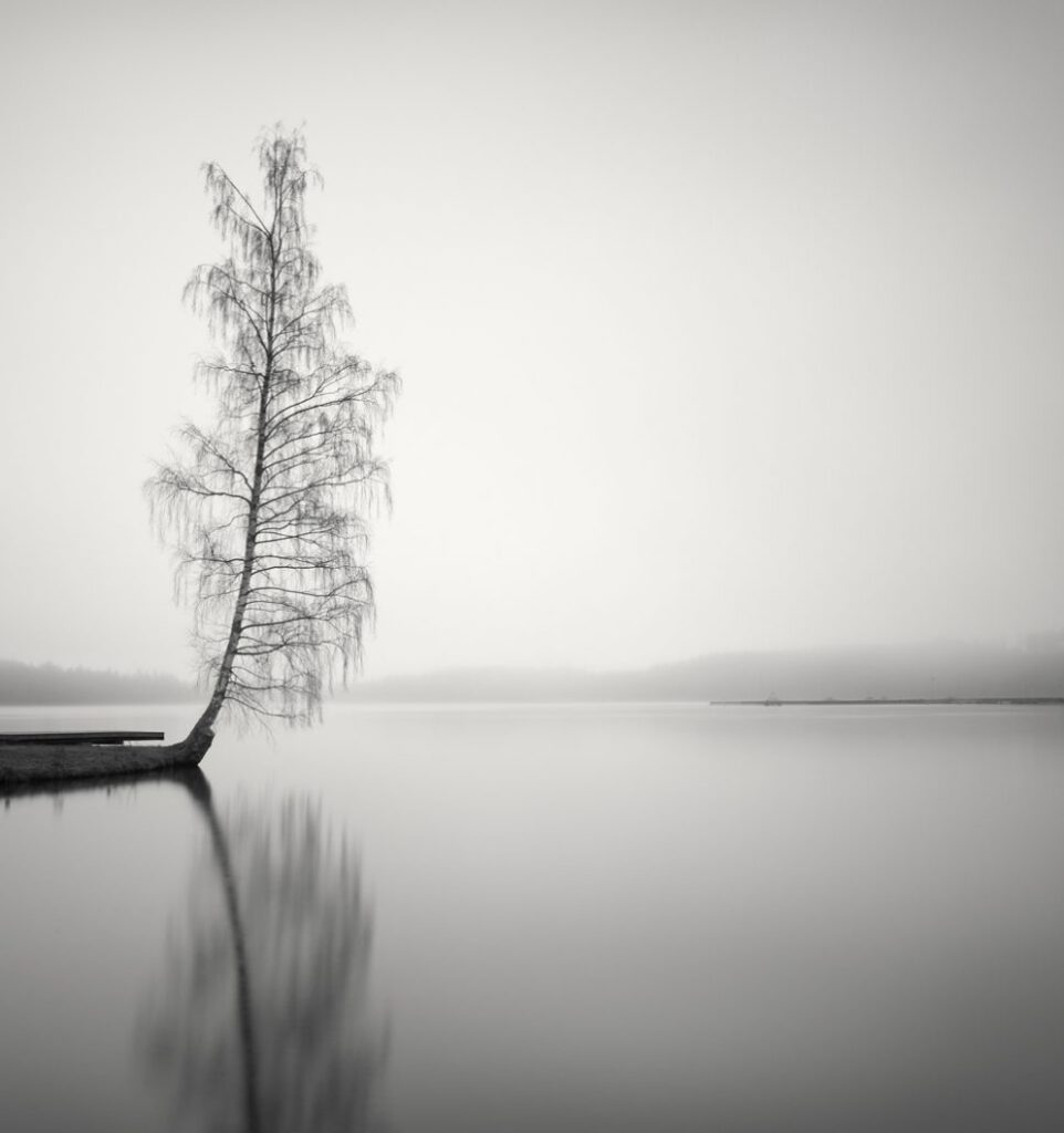 Peaceful Morning at the Lake, Sweden