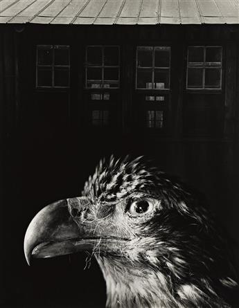 Bless Our Home & Eagle
