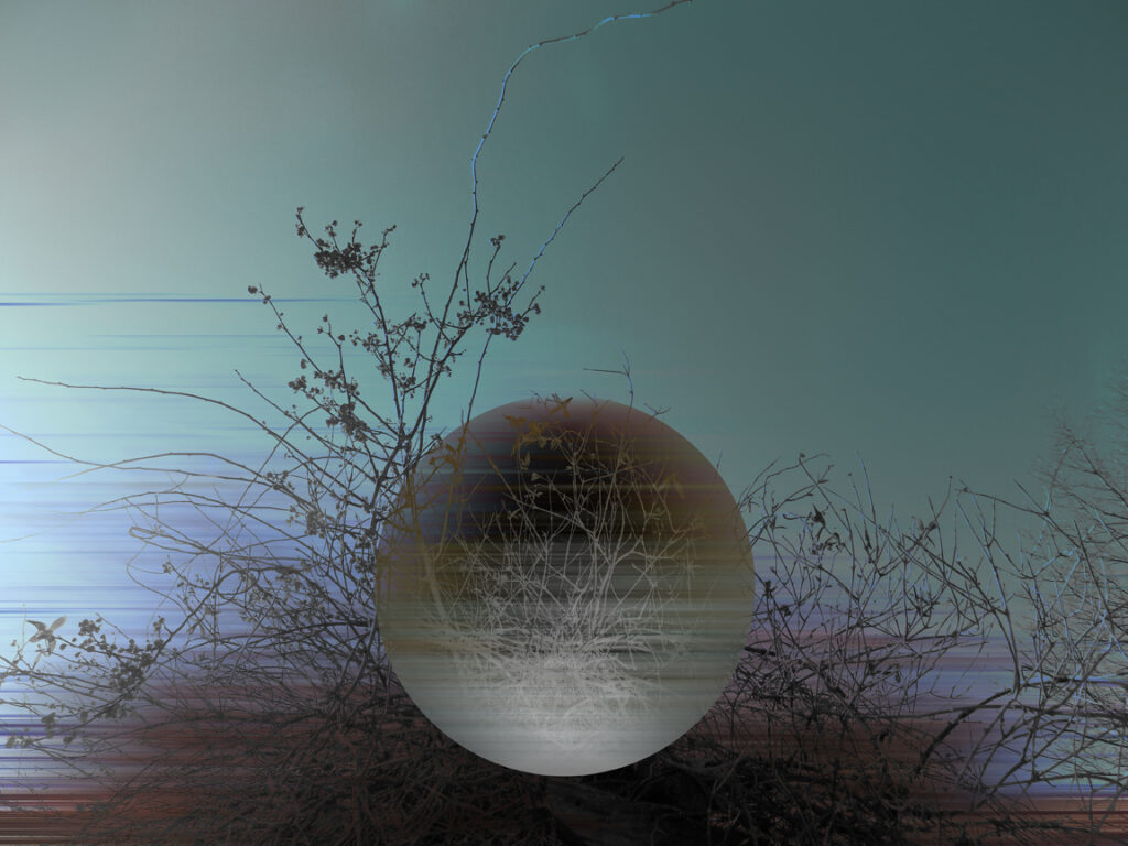 Cohesion