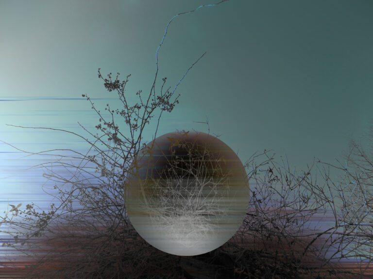 Cohesion