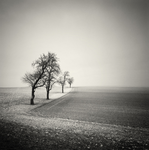 Four Trees, Austria