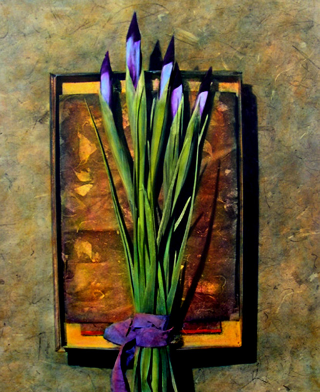 A Gathering of Iris