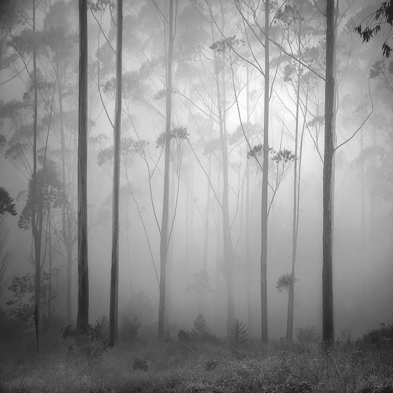 Silence (Alt4)