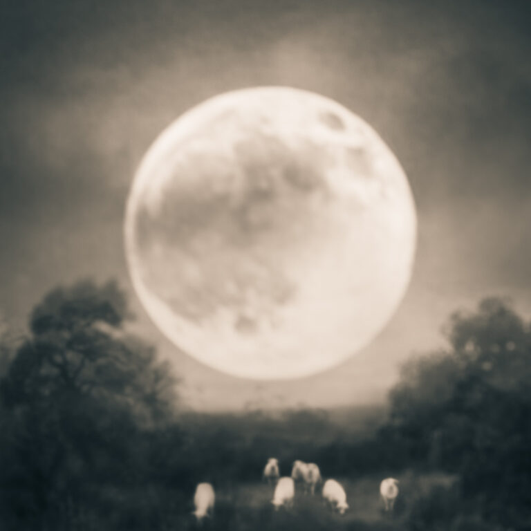 Arcadia