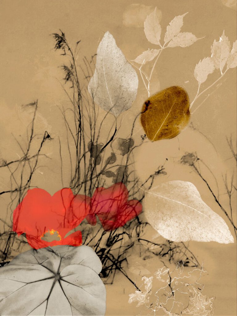 Flowers V 04