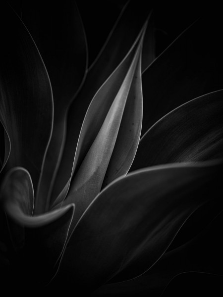 Beginning III