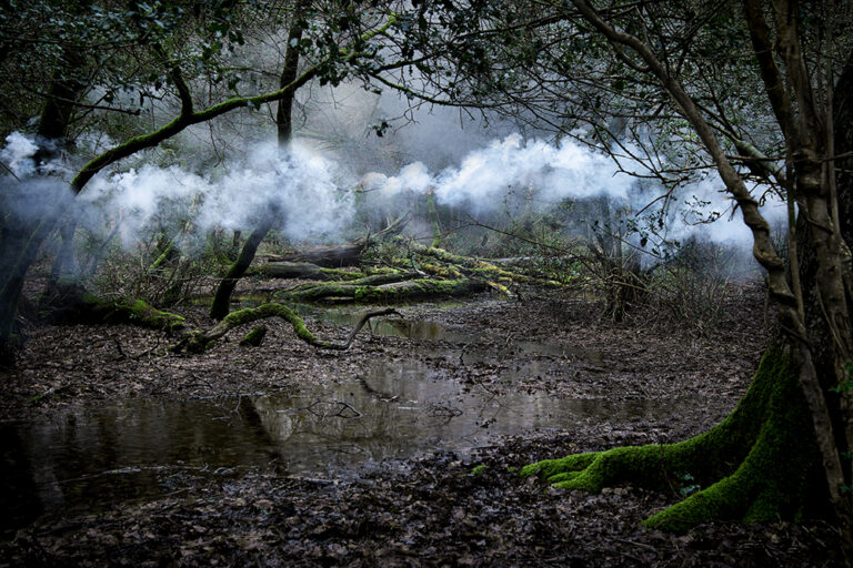 Between the Trees 9