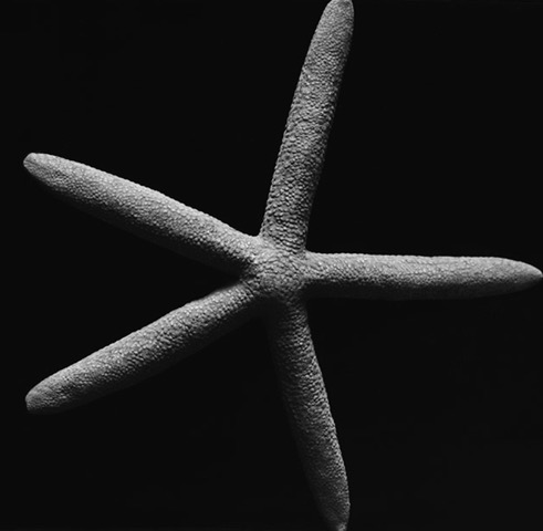 Blue Star