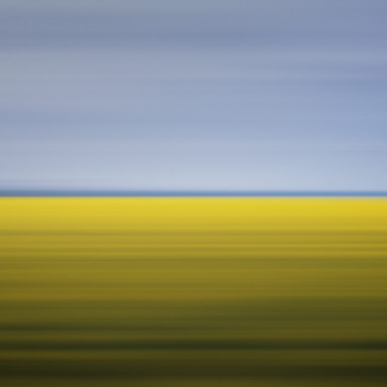 Drift 11: Mustard Field, Winnipeg