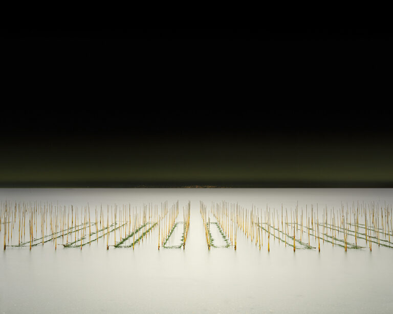 Mikawa-wan Nori Farm, Japan
