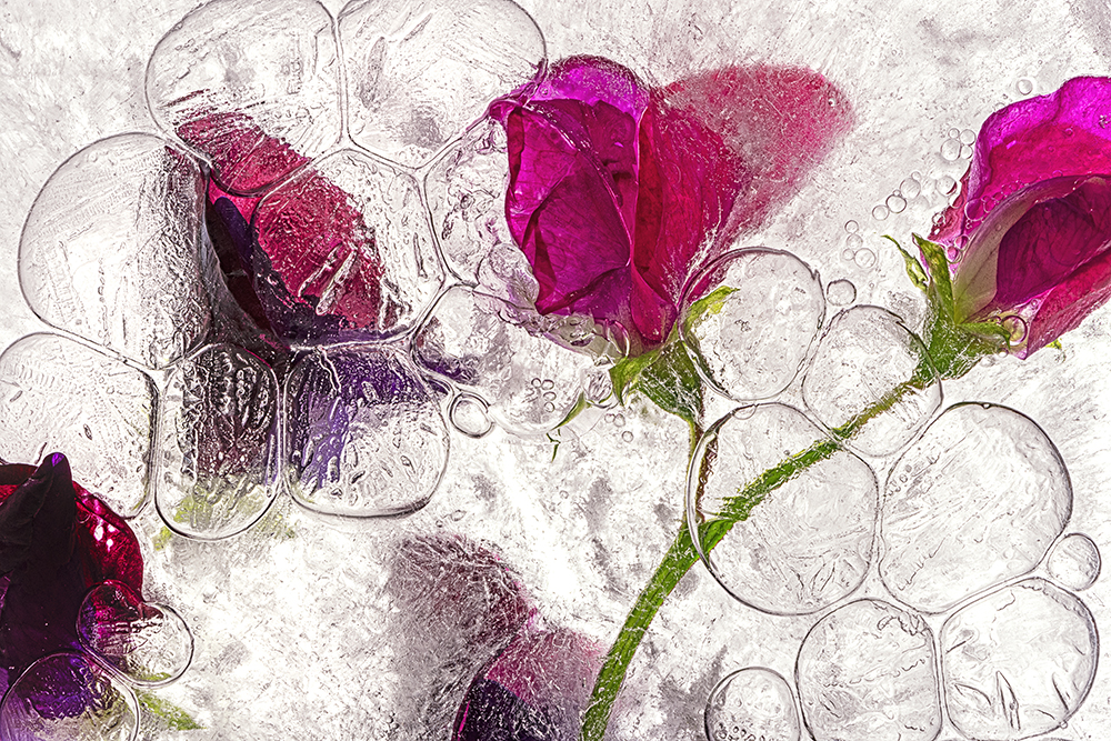 Color Ice Form 264
