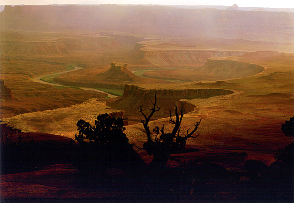 View from Zabriskie Point, Grand Canyon