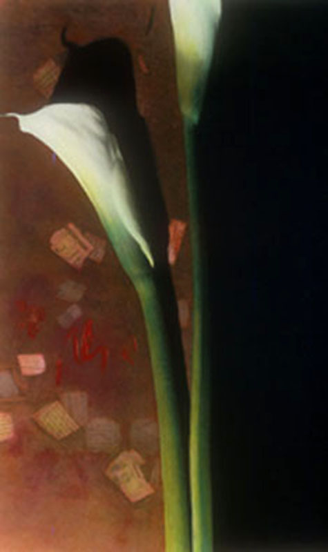 Callas & Red