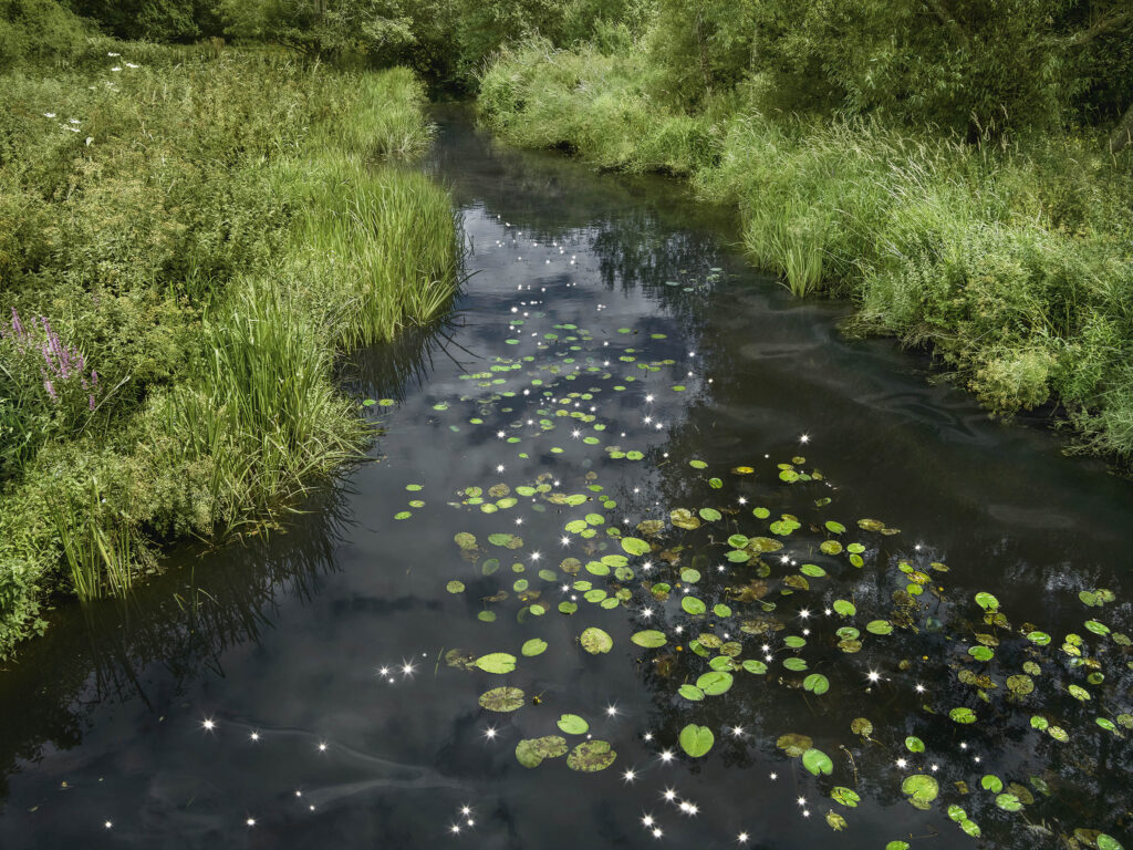 Chalk Streams 1