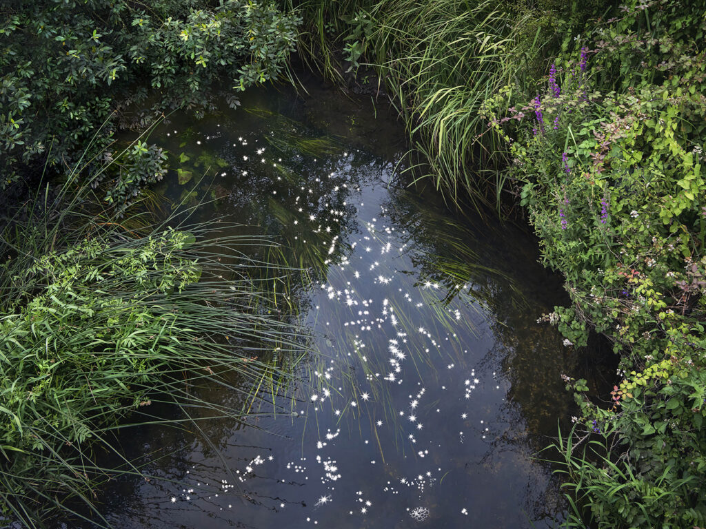 Chalk Streams 12