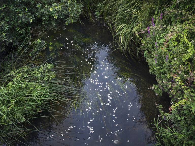 Chalk Streams 12