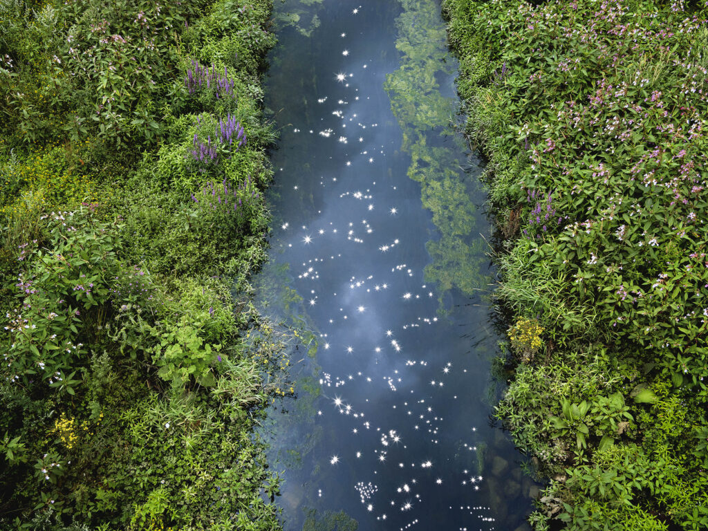 Chalk Streams 2