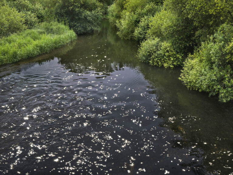 Chalk Streams 3