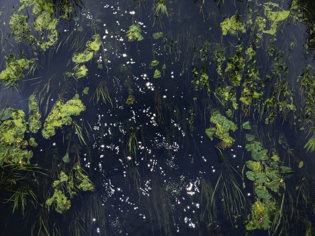 Chalk Streams 4