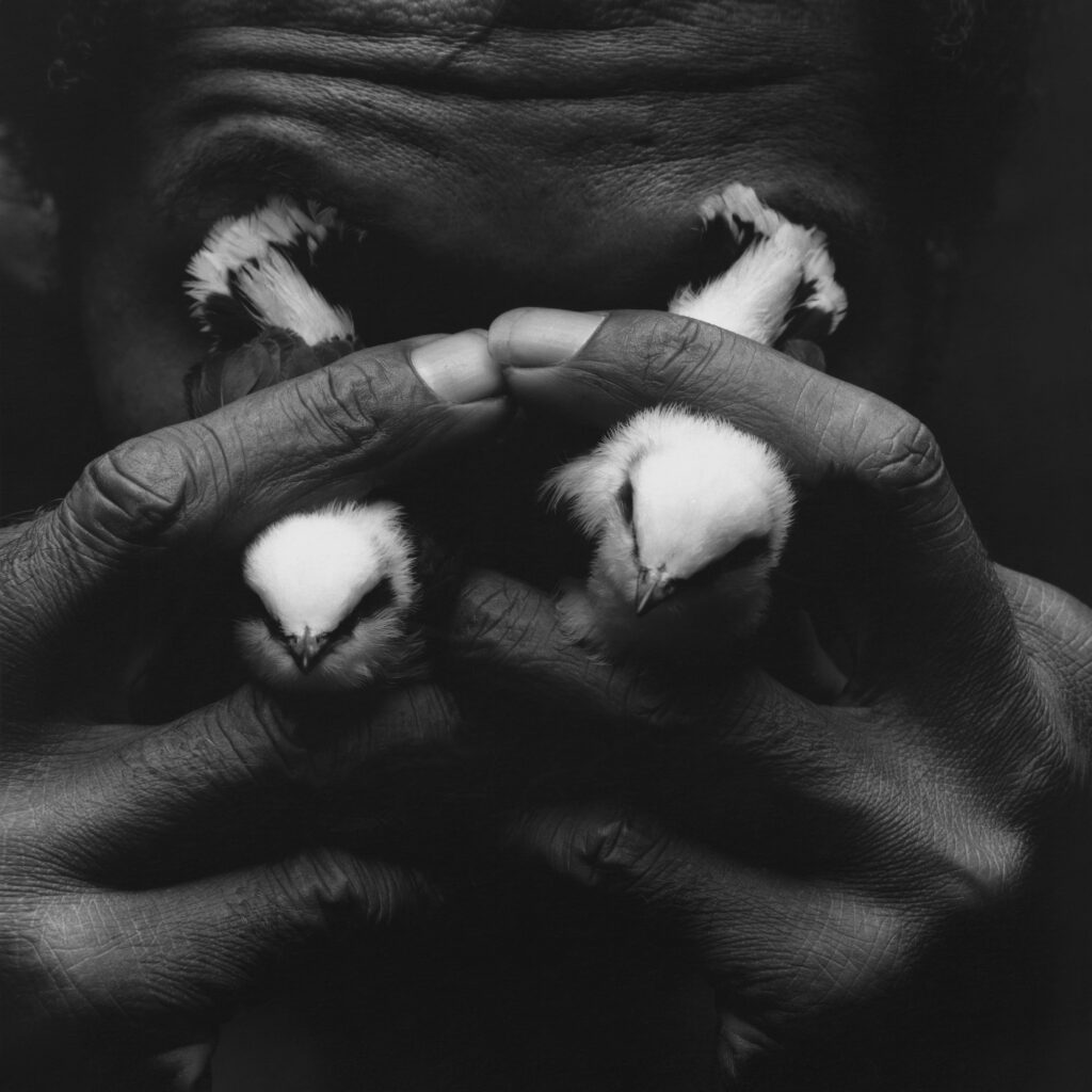 Man with Bird Tears