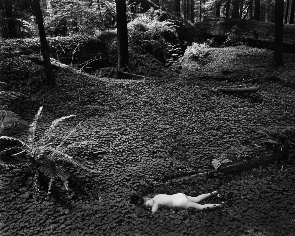 Child in Forest