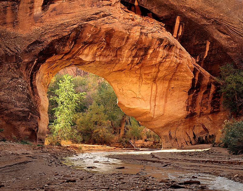 Coyote Natural Bridge, Utah