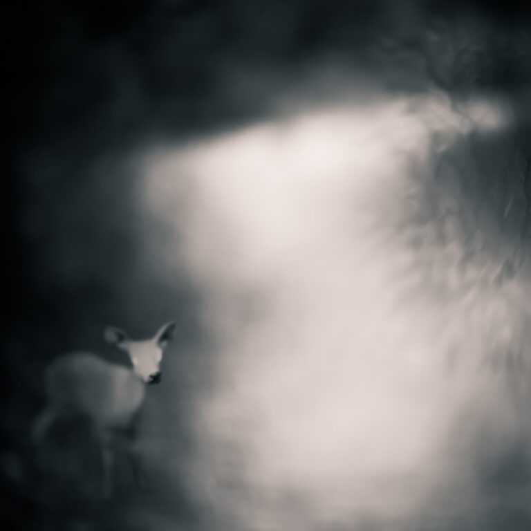 Creature