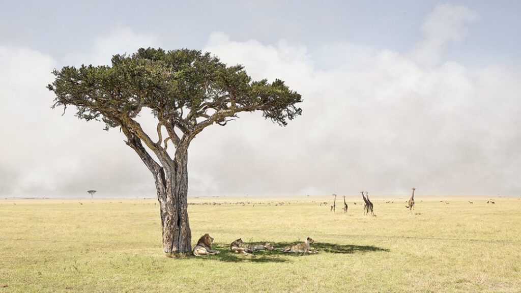 Paradise, Maasai Mara, Kenya