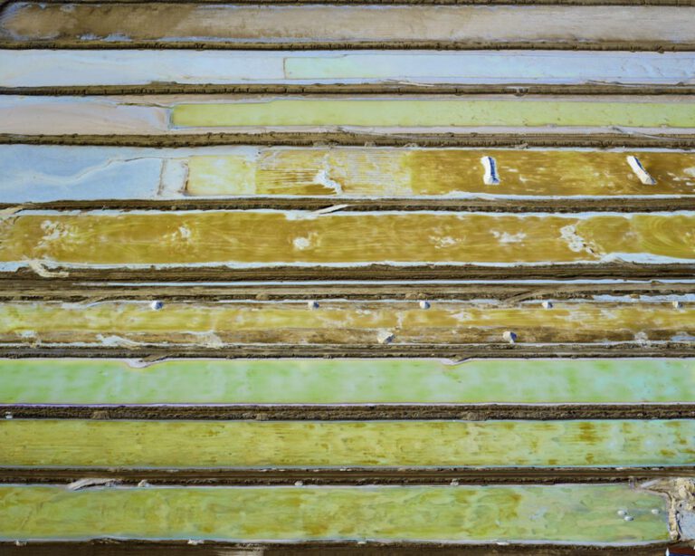 Saltern Study 4, Near Sea of Cortez, Mexico