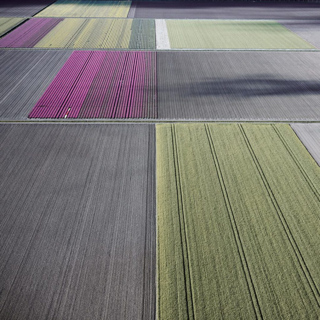Veld 25