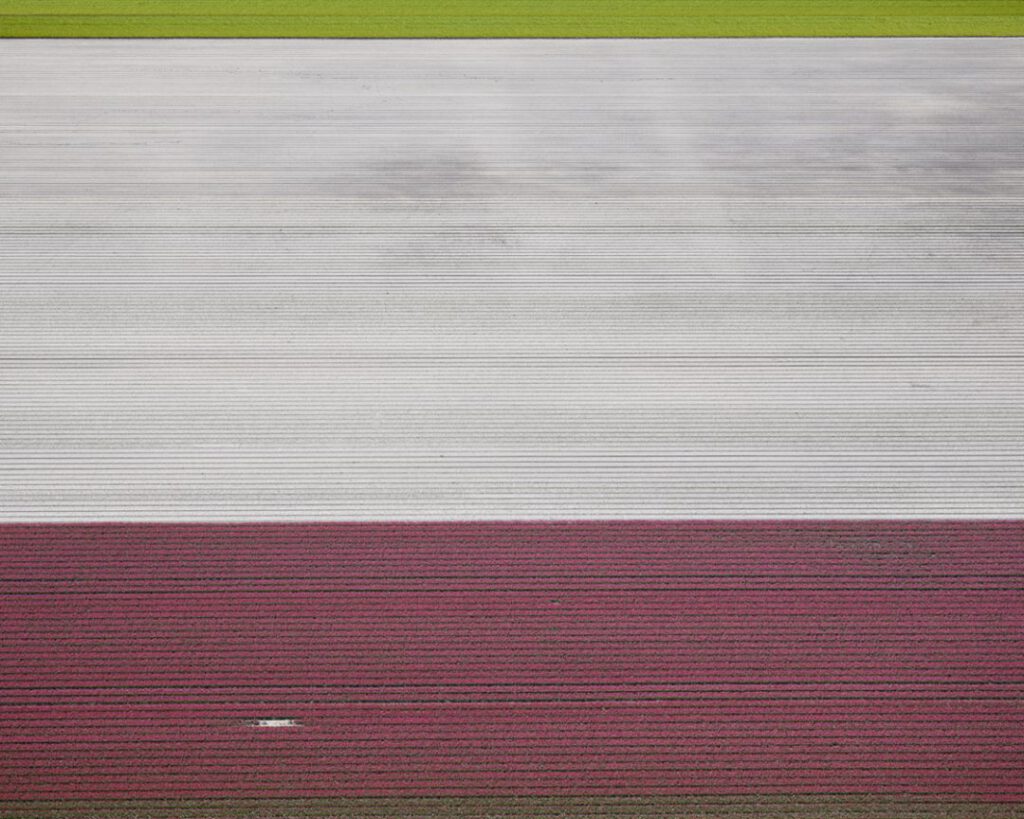 Veld 2