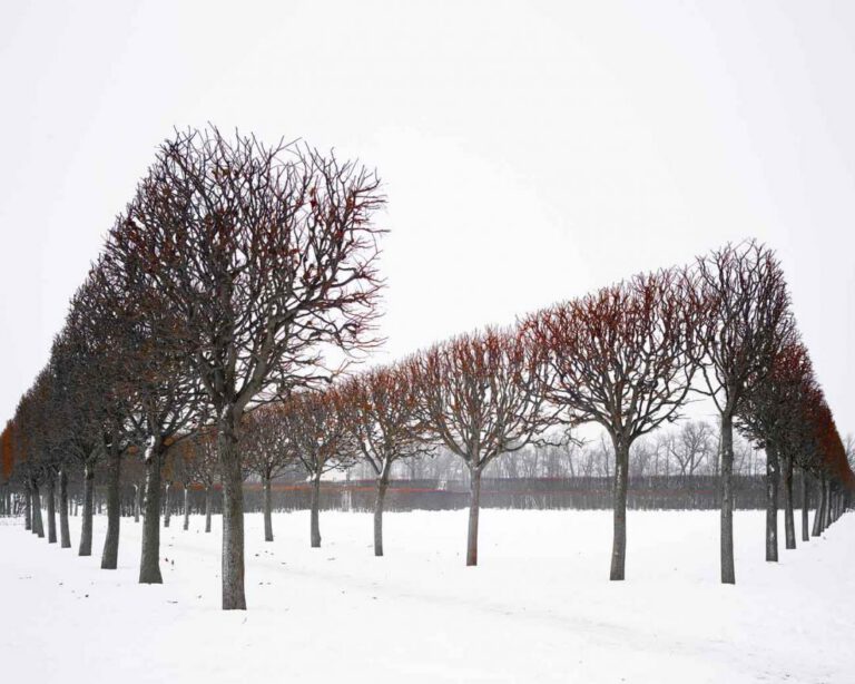 Winter, Red, Pushkin, Russia