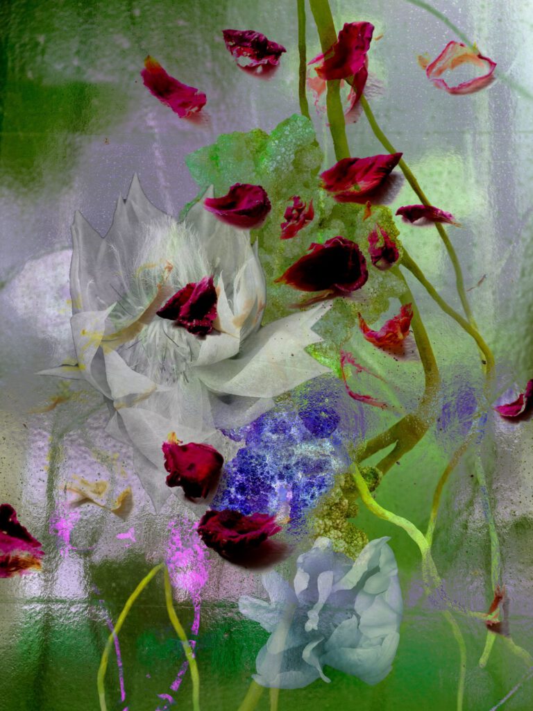 Flowers 8