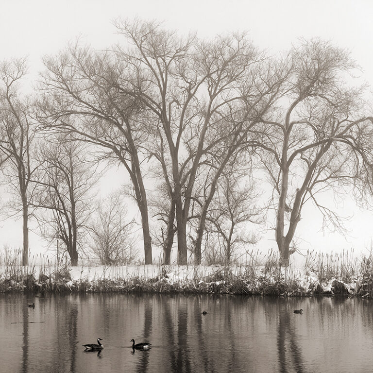 The Fourth Day of Spring, Windsor, CO