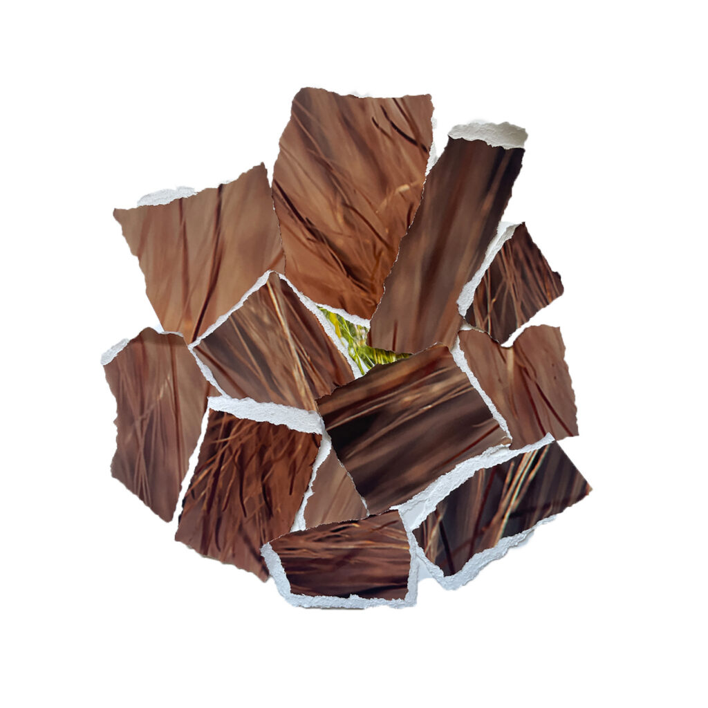 Deconstruction IX