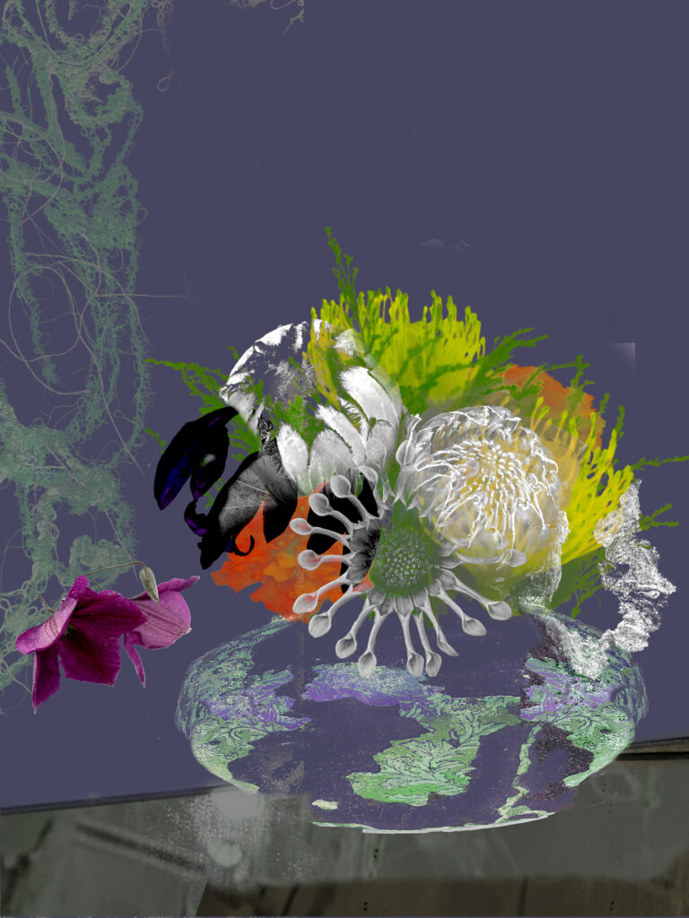 Existential Still Lifes 11