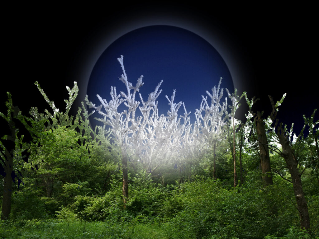 Eden