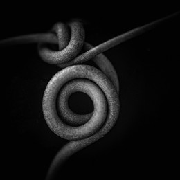 Entangled