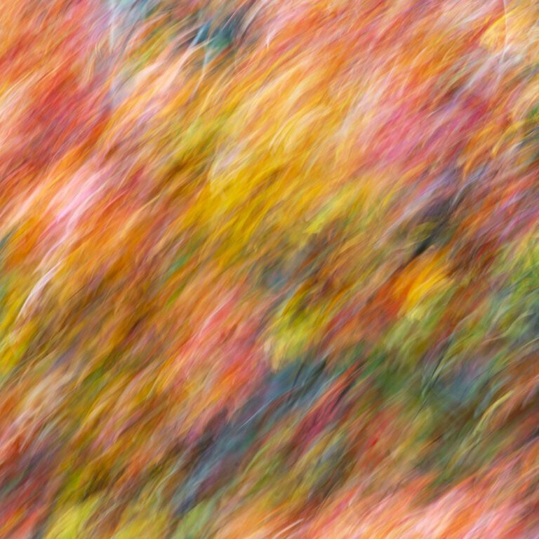 Fall Movement 10
