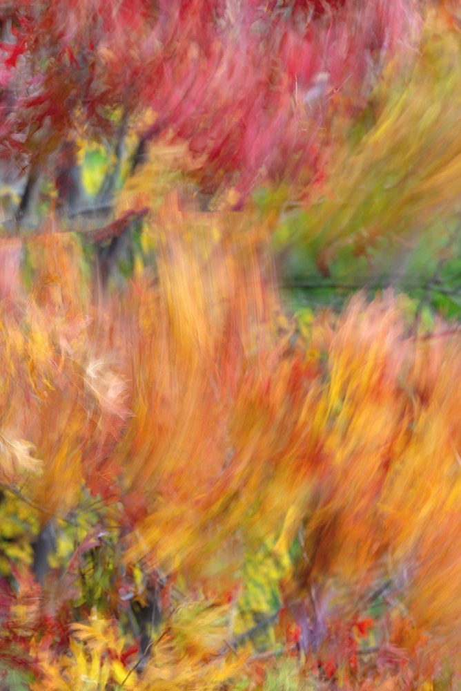Fall Movement 5