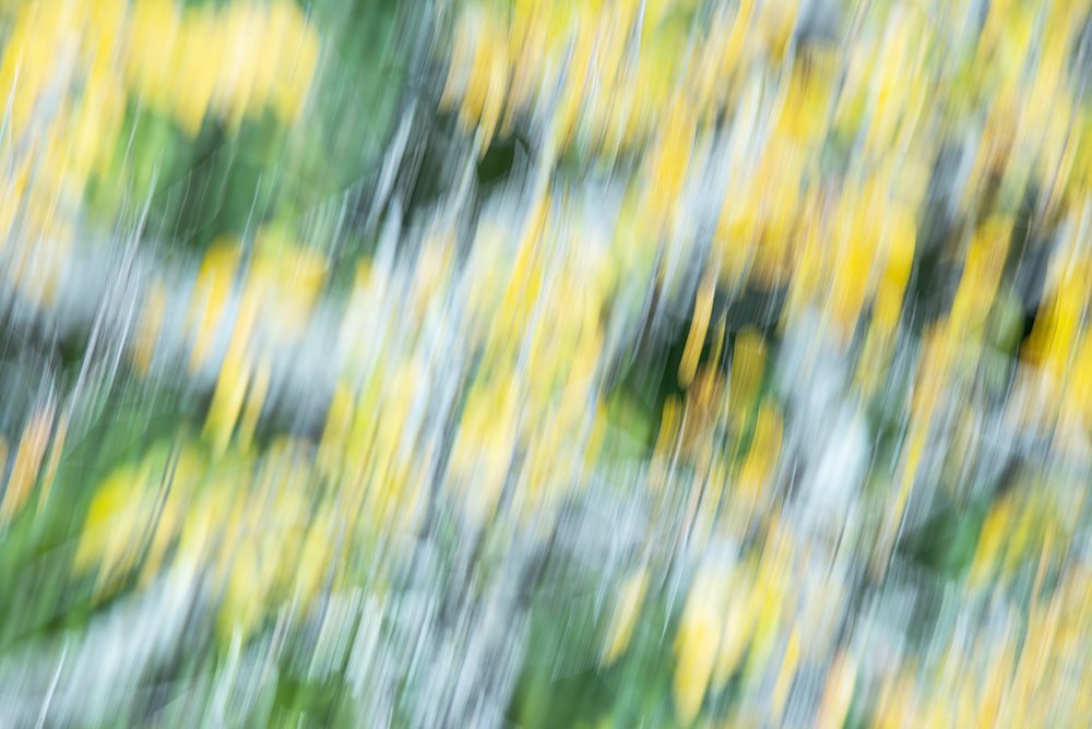 Fall Movement 8
