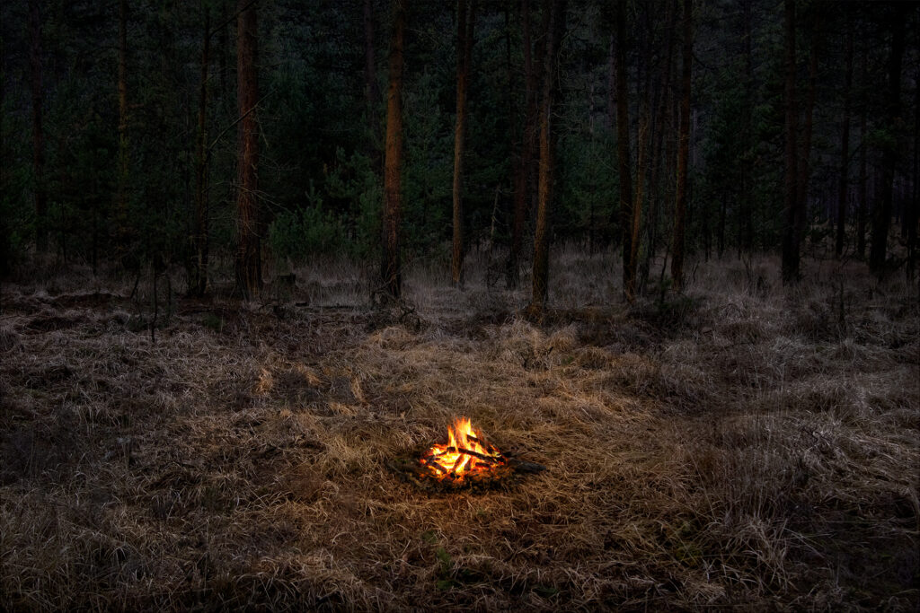 Fires 1