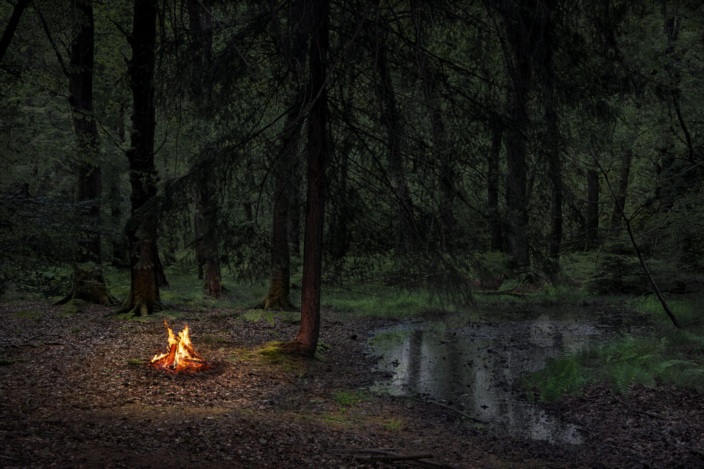 Fires 2