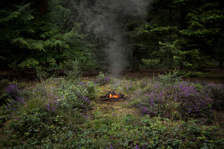 Fires 3