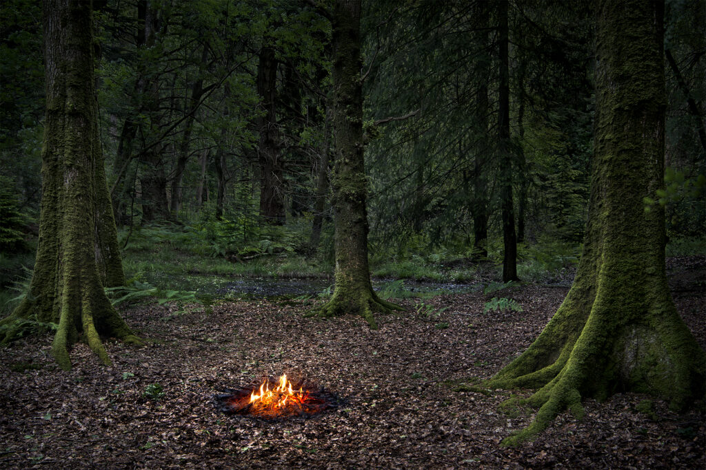 Fires 5