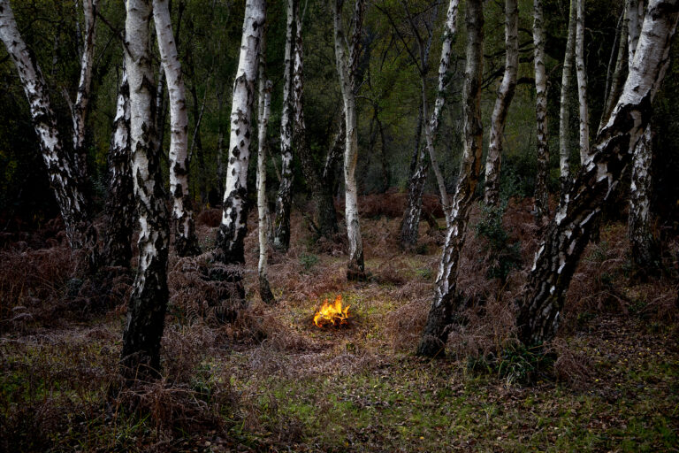 Fires 6