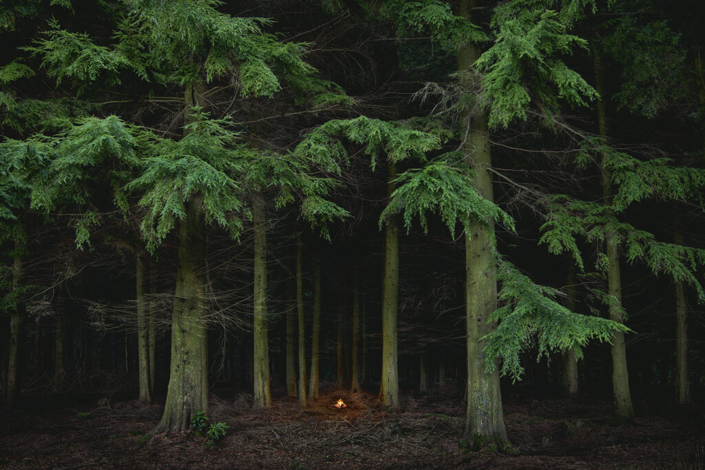 Fires 7