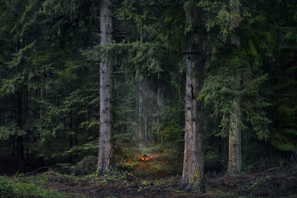 Fires 9